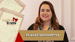 Explica Direito Filiação Socioafetiva  2019 [upl. by Darice763]